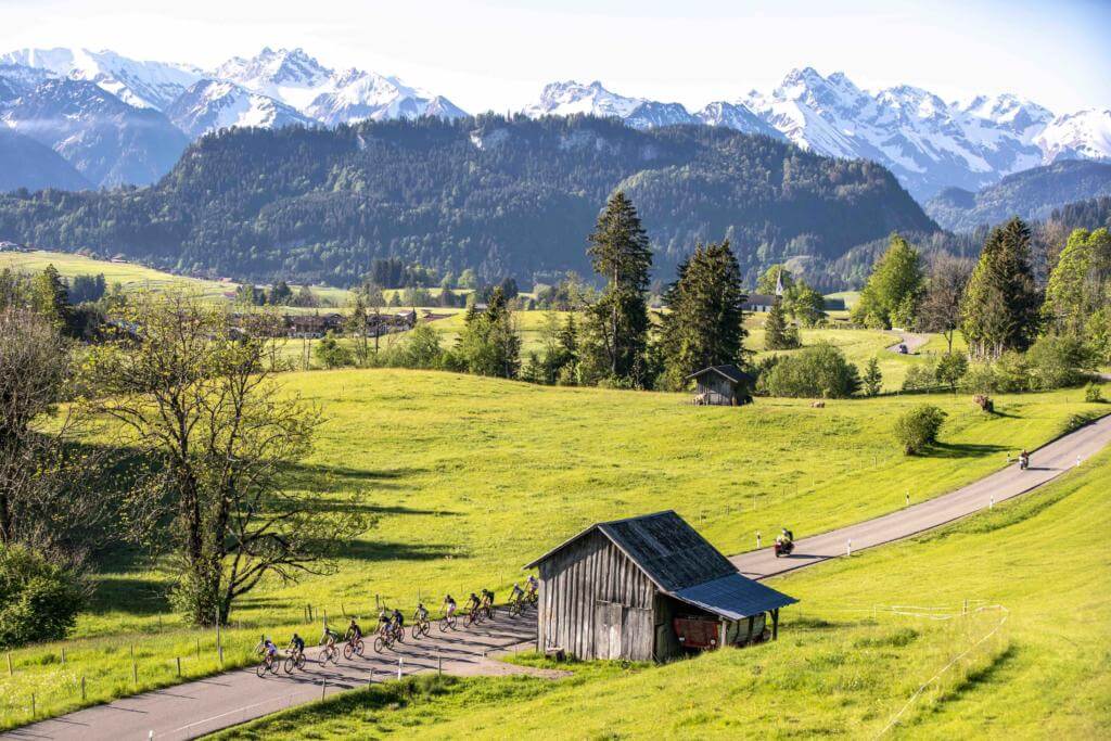 Radgruppe beim Zötler Gold Race auf einer Straße durch grüne Wiesen vor den verschneiten Allgäuer Alpen bei Sigiswang