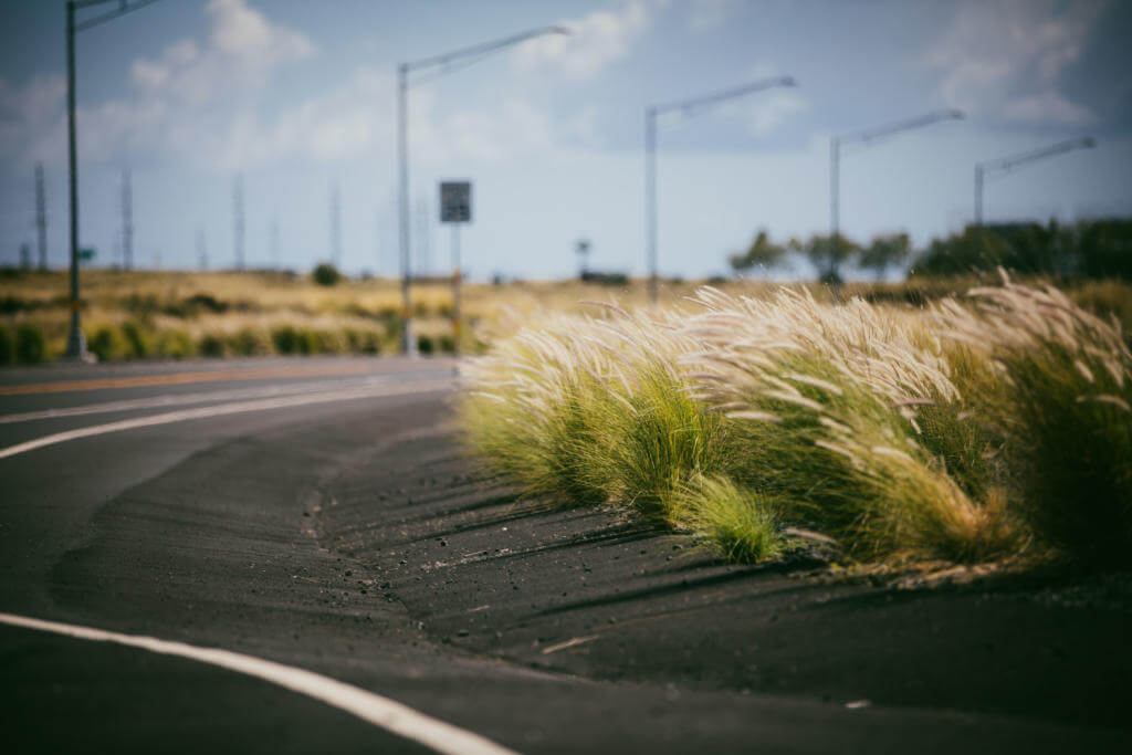 Der Mumuku auf Hawaii Big Island