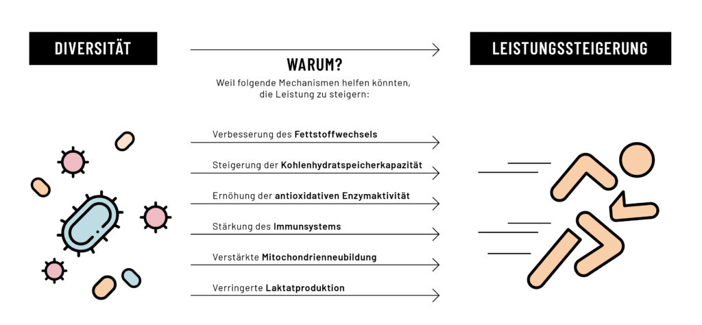 Eine Graik zeigt den Zusammenhang zwischen Mikrobendiversität und Leistungssteigerung