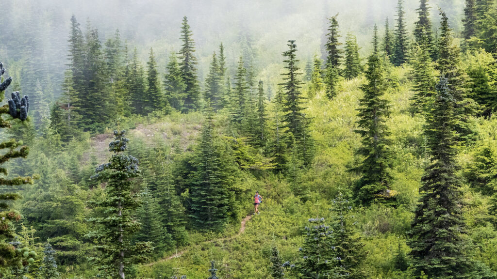 Triathlon Trailrunning