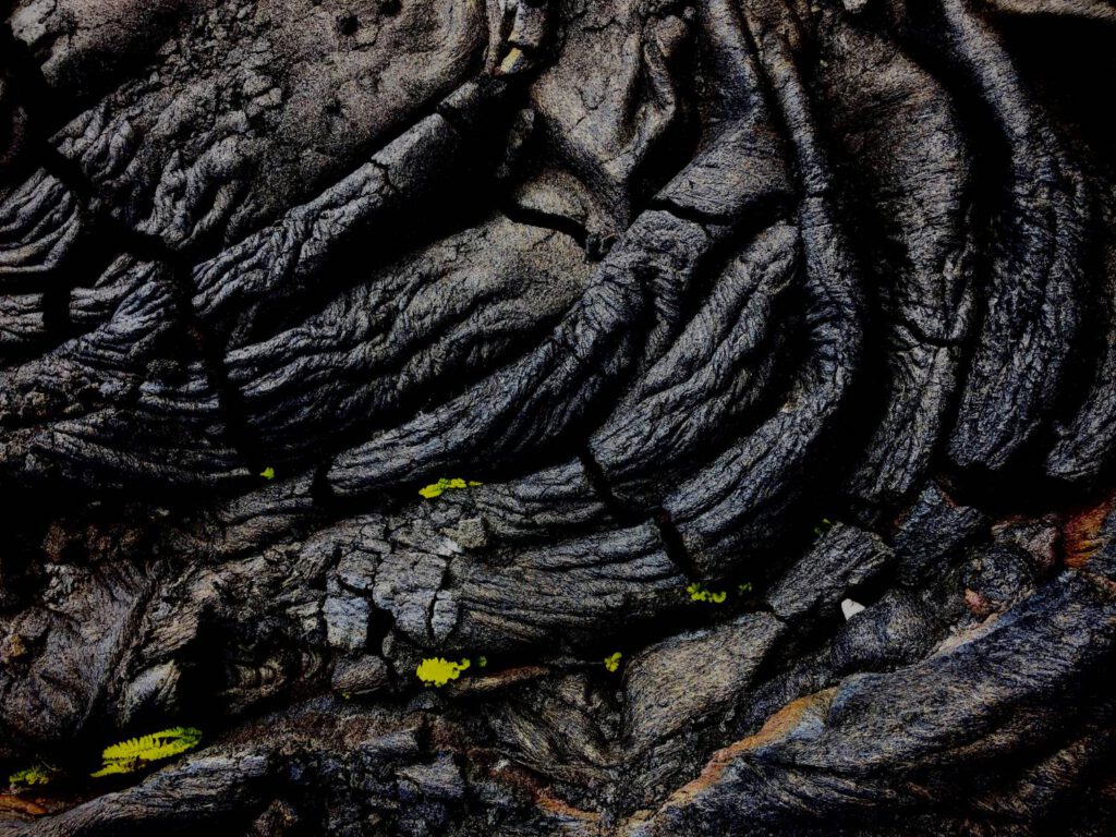 Erkaltete Lava mit tiefen Rissen, dazwischen wachsen kleine grüne Farne
